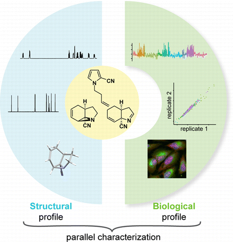 Real-Time Biological Annotation of Synthetic Compounds